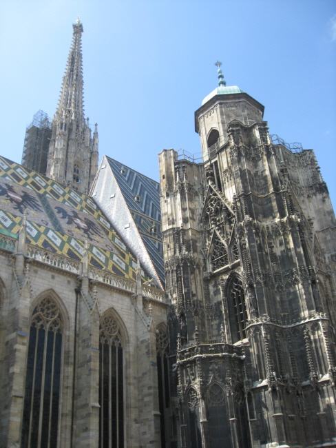 IMG_9953.jpg
