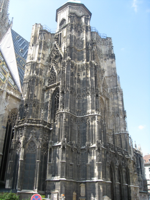 IMG_9954.jpg