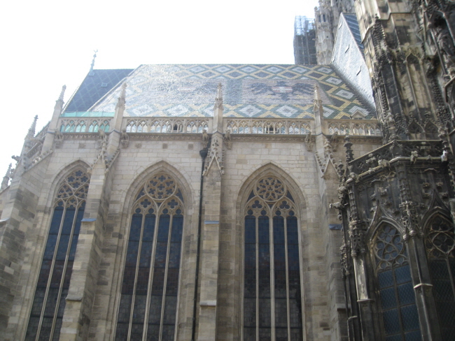 IMG_9955.jpg