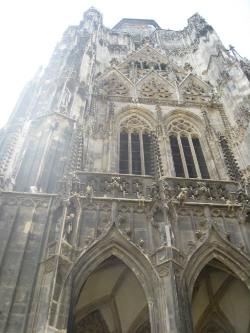 IMG_9956.jpg