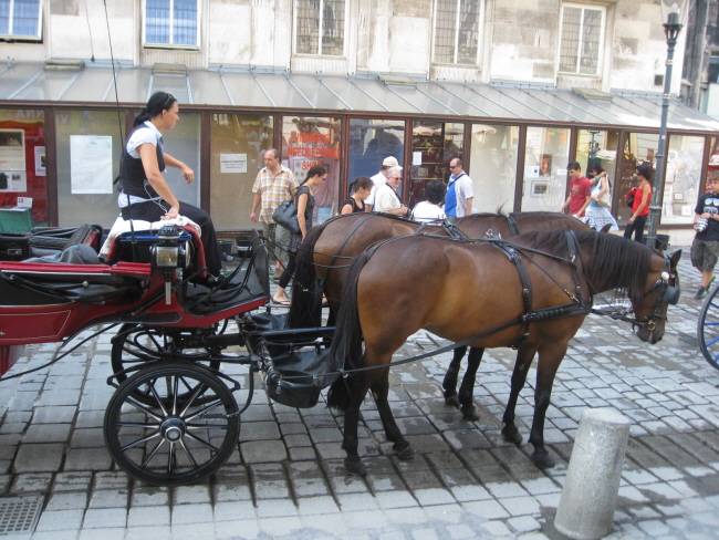 IMG_9959.jpg