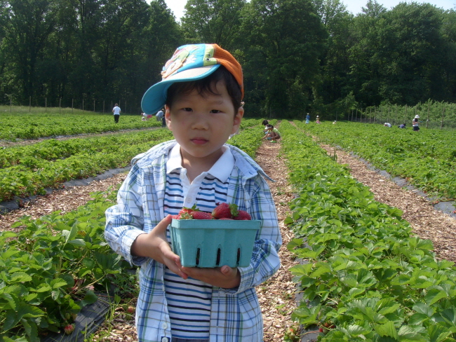 banner-S73R0508.JPG
