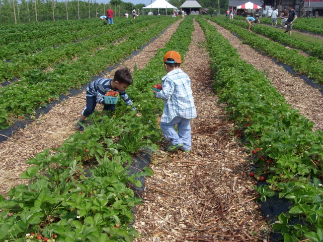 banner-S73R0510.JPG