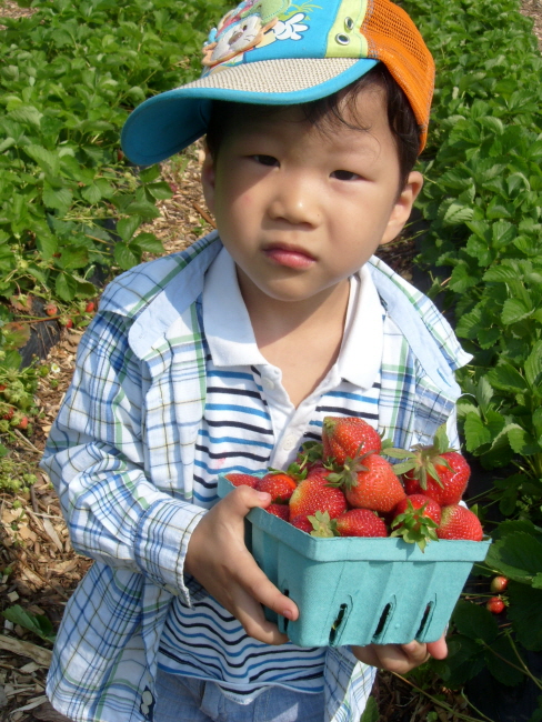 banner-S73R0514.JPG
