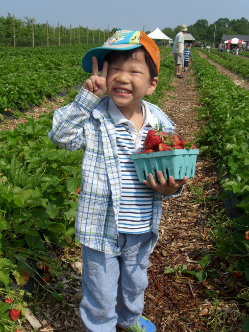banner-S73R0515.JPG