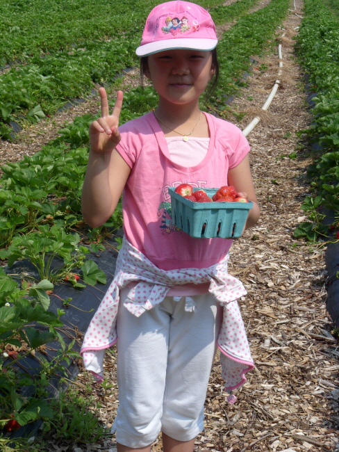banner-S73R0521.JPG