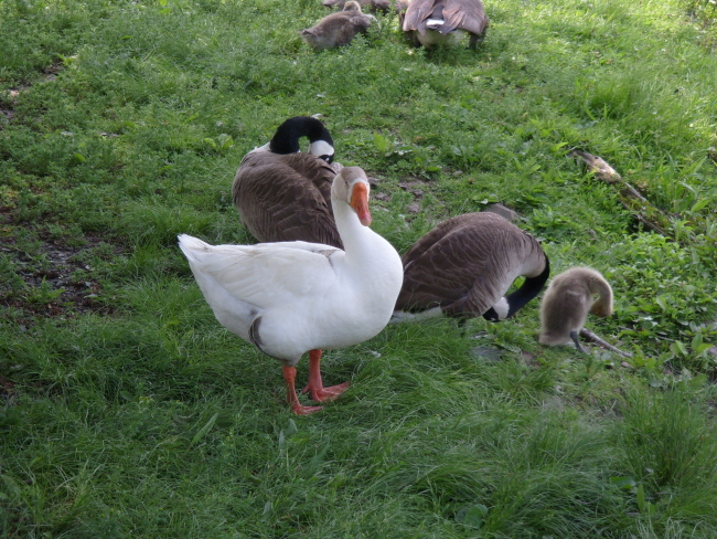 banner-S73R0522.JPG