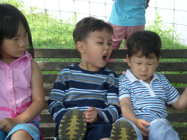 banner-S73R0556.JPG